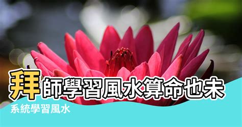 學風水拜師|【學風水拜師】學風水拜師指南：費用、方法與入門眉角大公開